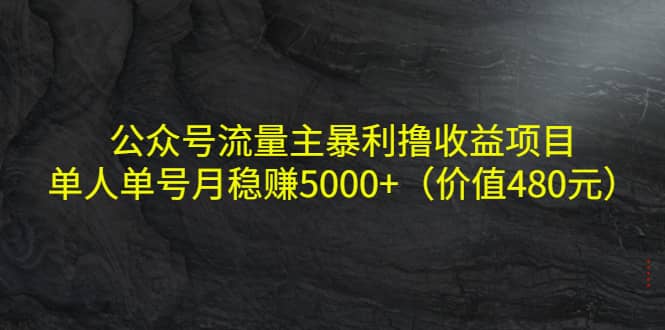 公众号流量主暴利撸收益项目，单人单号月稳赚5000+（价值480元） - 福利搜 - 阿里云盘夸克网盘搜索神器 蓝奏云搜索| 网盘搜索引擎-福利搜