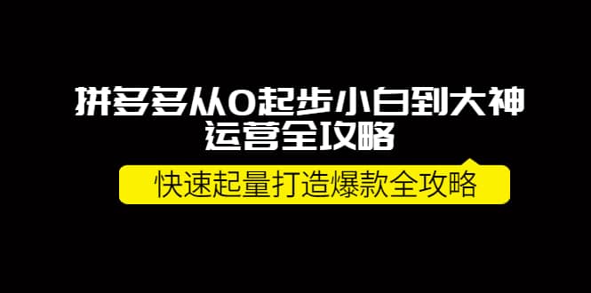 拼多多从0起步小白到大神运营全攻略 - 福利搜 - 阿里云盘夸克网盘搜索神器 蓝奏云搜索| 网盘搜索引擎-福利搜