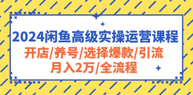 2024闲鱼高级实操运营课程：开店/养号/选择爆款/引流/月入2万/全流程 - 福利搜 - 阿里云盘夸克网盘搜索神器 蓝奏云搜索| 网盘搜索引擎-福利搜