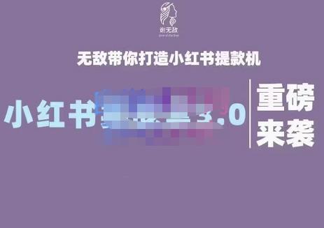 谢无敌·小红书实战营3.0，无敌带你打造小红书提款机 价值7999元 - 福利搜 - 阿里云盘夸克网盘搜索神器 蓝奏云搜索| 网盘搜索引擎-福利搜