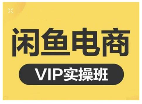 闲鱼电商零基础入门到进阶VIP实战课程，帮助你掌握闲鱼电商所需的各项技能 - 福利搜 - 阿里云盘夸克网盘搜索神器 蓝奏云搜索| 网盘搜索引擎-福利搜