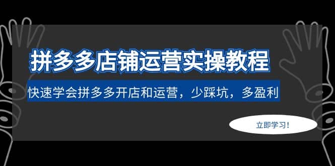 拼多多店铺运营实操教程：快速学会拼多多开店和运营，少踩坑，多盈利 - 福利搜 - 阿里云盘夸克网盘搜索神器 蓝奏云搜索| 网盘搜索引擎-福利搜