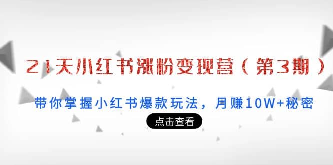 21天小红书涨粉变现营（第3期）：带你掌握小红书爆款玩法，月赚10W+秘密 - 福利搜 - 阿里云盘夸克网盘搜索神器 蓝奏云搜索| 网盘搜索引擎-福利搜