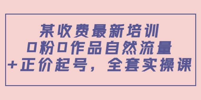 某收费最新培训：0粉0作品自然流量+正价起号，全套实操课 - 福利搜 - 阿里云盘夸克网盘搜索神器 蓝奏云搜索| 网盘搜索引擎-福利搜