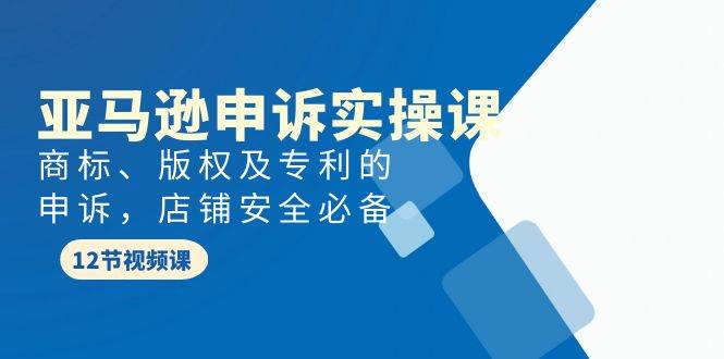 亚马逊-申诉实战课，商标、版权及专利的申诉，店铺安全必备 - 福利搜 - 阿里云盘夸克网盘搜索神器 蓝奏云搜索| 网盘搜索引擎-福利搜